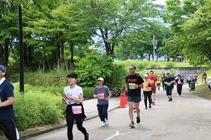 公園内