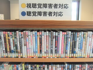 視覚障害DVD.JPG