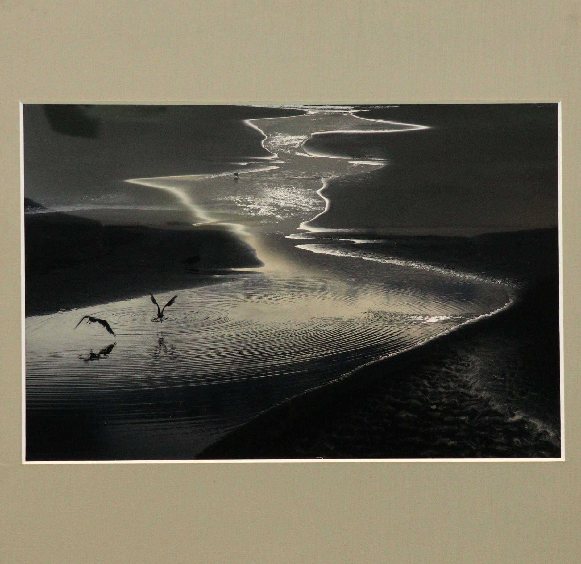 南魚展賞作品の水辺の光景の画像