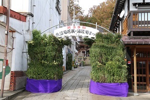 菊のアーチ