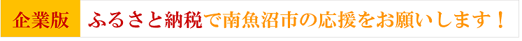 企業版ふるさと納税について