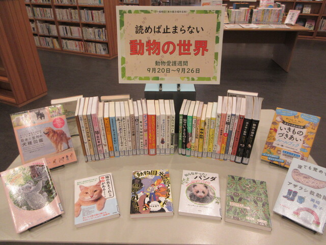 動物の世界1.JPG