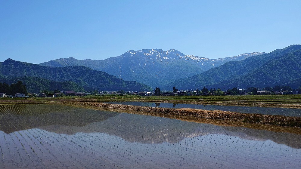 田植えの頃
