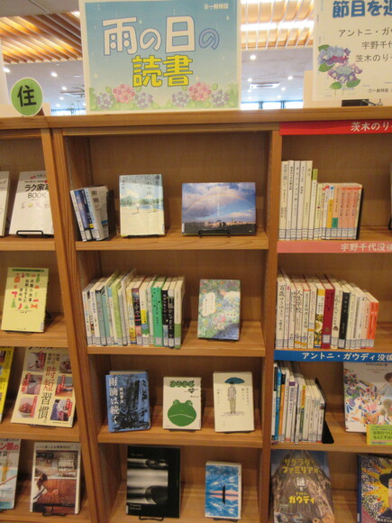雨の日の読書.JPG