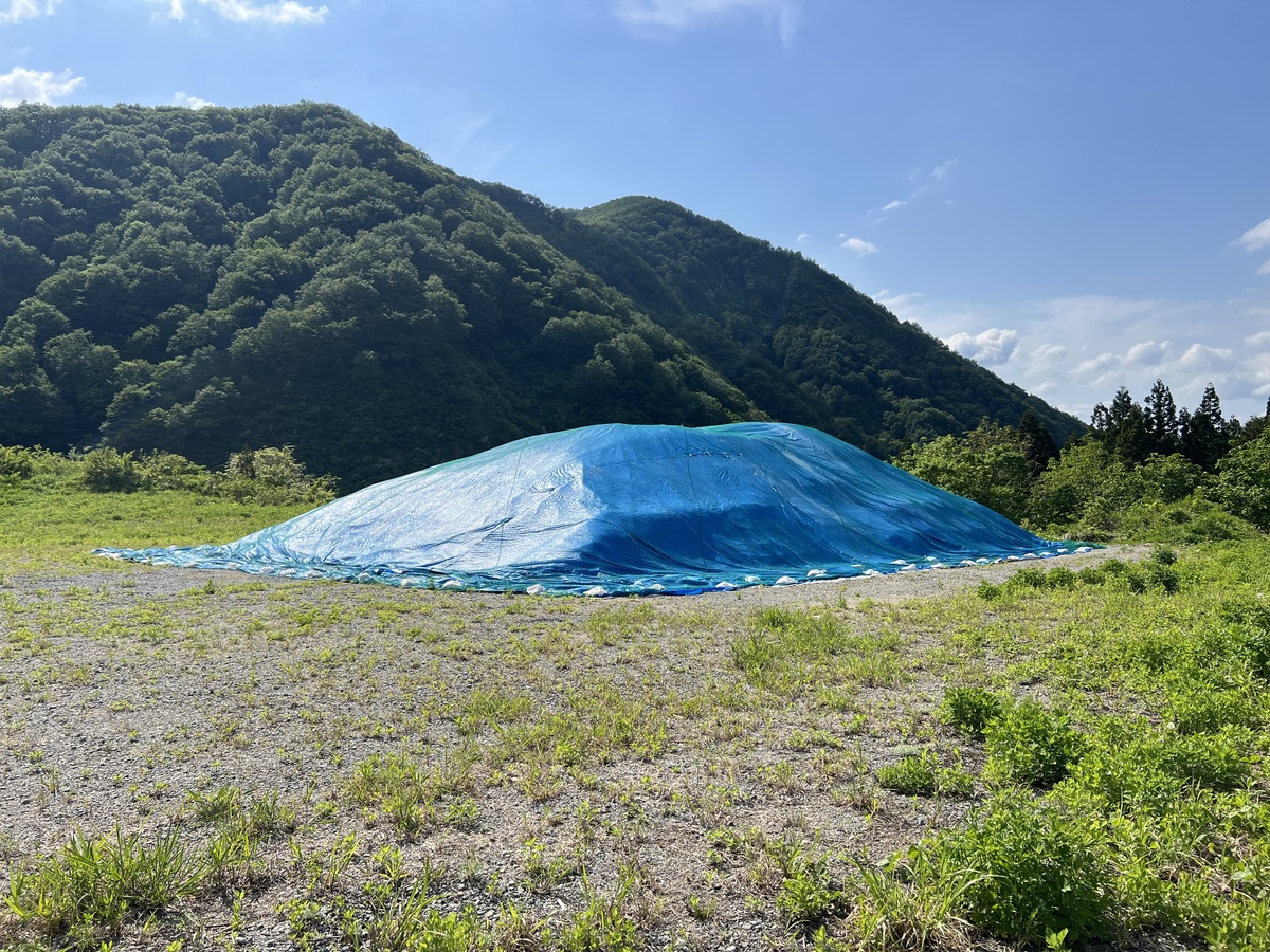 ★IMG_0181.jpeg