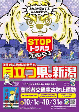 R8高齢者事故防止運動チラシ表.png