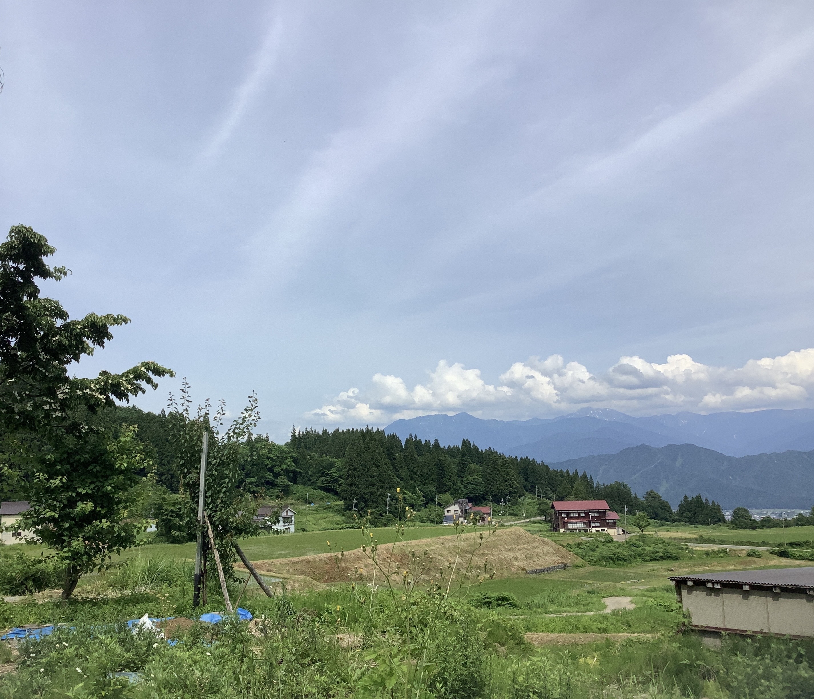 見上げると雲が…